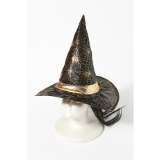 마녀 모자 47