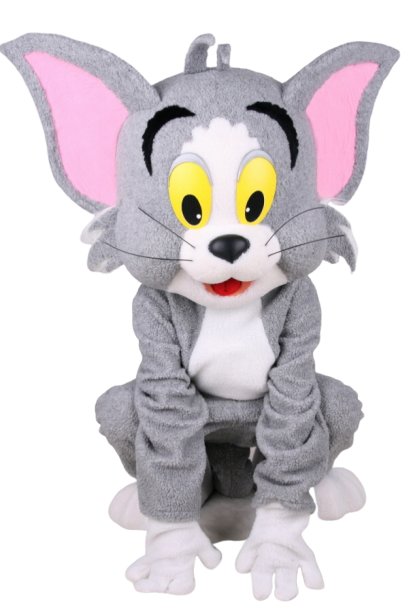 장난기 많은 고양이