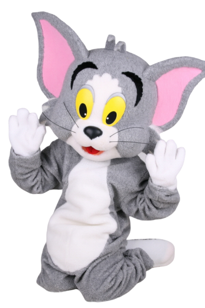 장난기 많은 고양이