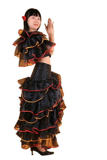 퍼레이드-20 스페인 플라밍고