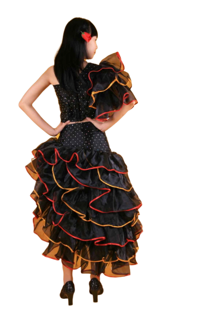 퍼레이드-20 스페인 플라밍고