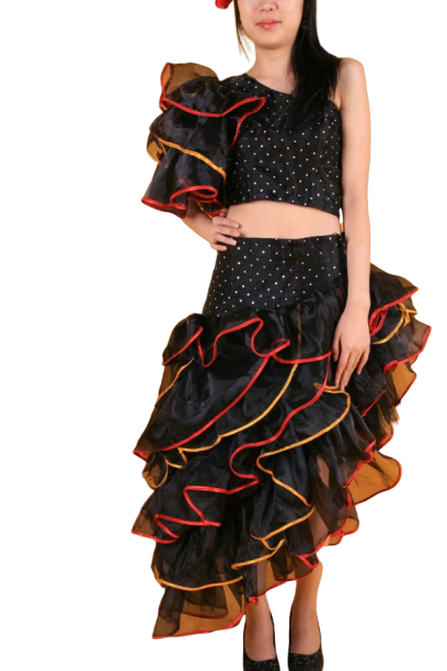 퍼레이드-20 스페인 플라밍고