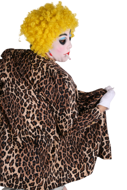 호피레이디보이