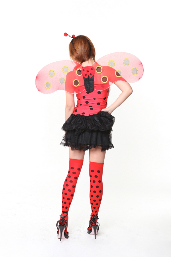 귀여운 무당벌레