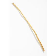 황금 지팡이 (택배불가)