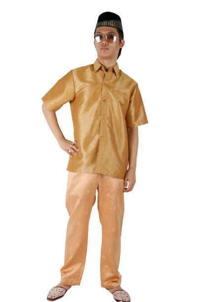 라오스 씬-남 베이지