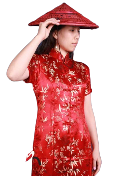 베트남-아오자이 레드