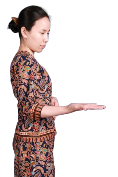 싱가폴-승무원 여