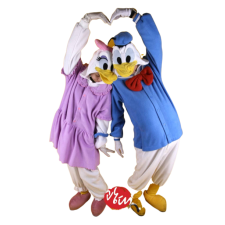 커플도널드데이지