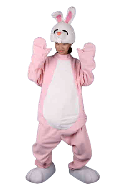 토끼모자탈(핑)