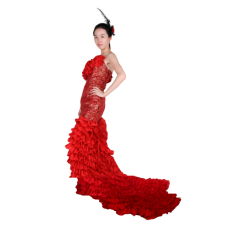 스페인-플라멩고 의상