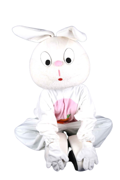 당근 토끼 탈인형