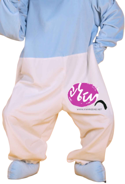 중국 파란 인형