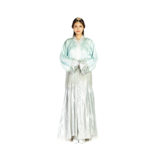 삼국시대-여궁중의상8