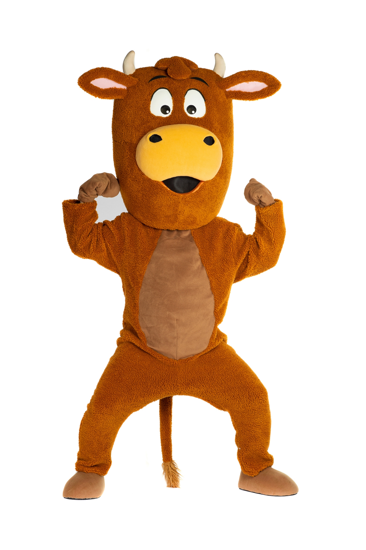 국산 웃긴 한우