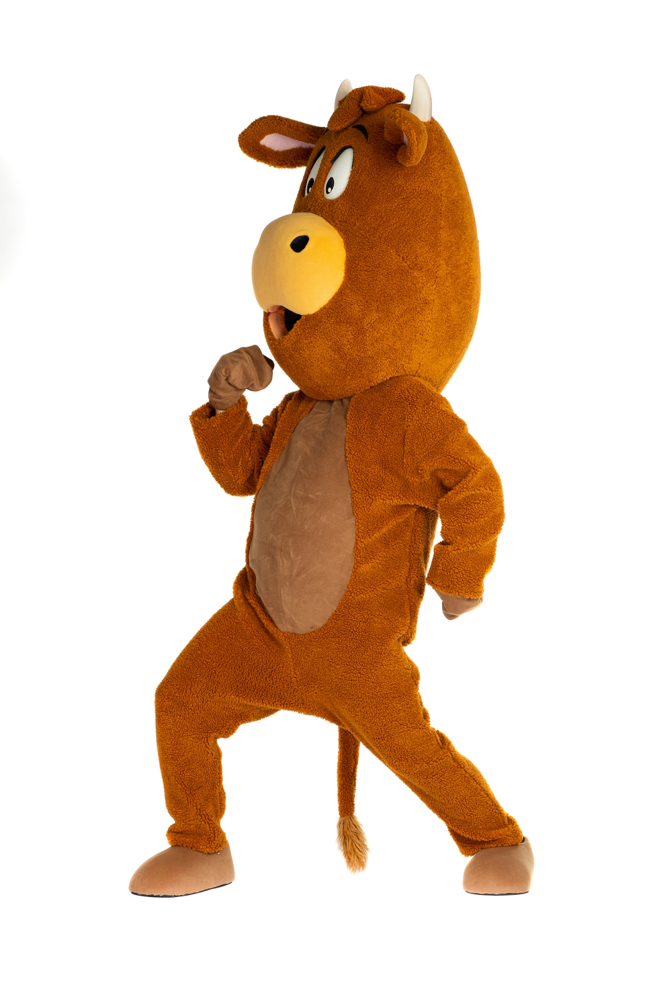 국산 웃긴 한우