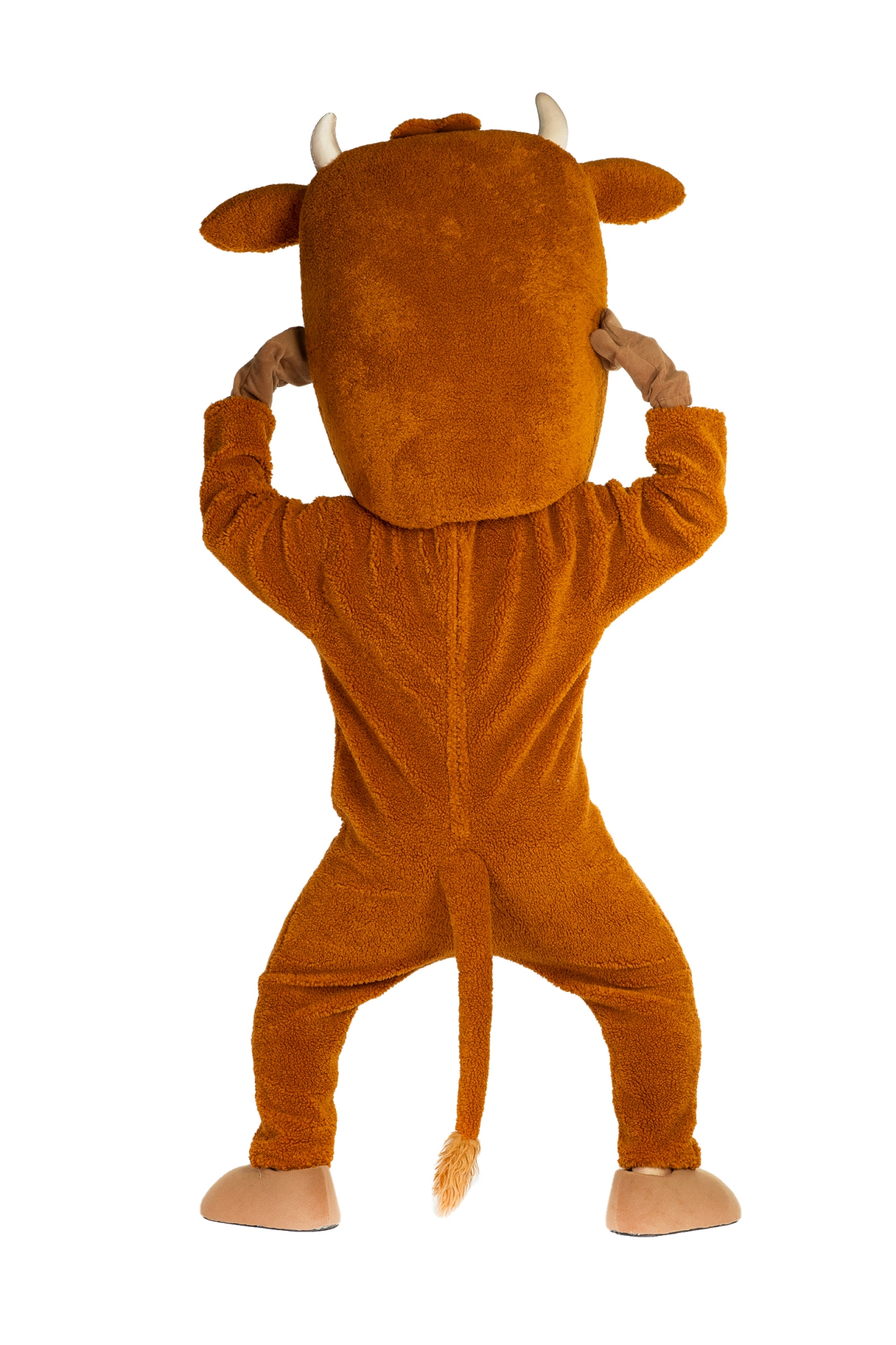 국산 웃긴 한우