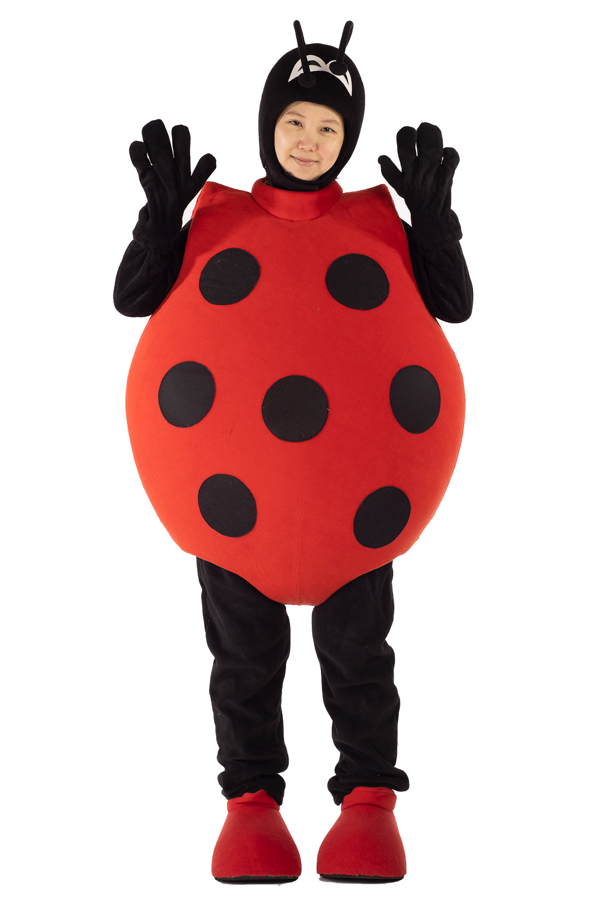 귀여운 무당벌레