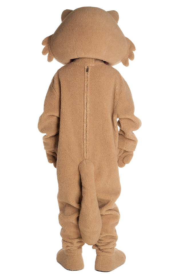 너굴이 (너구리)